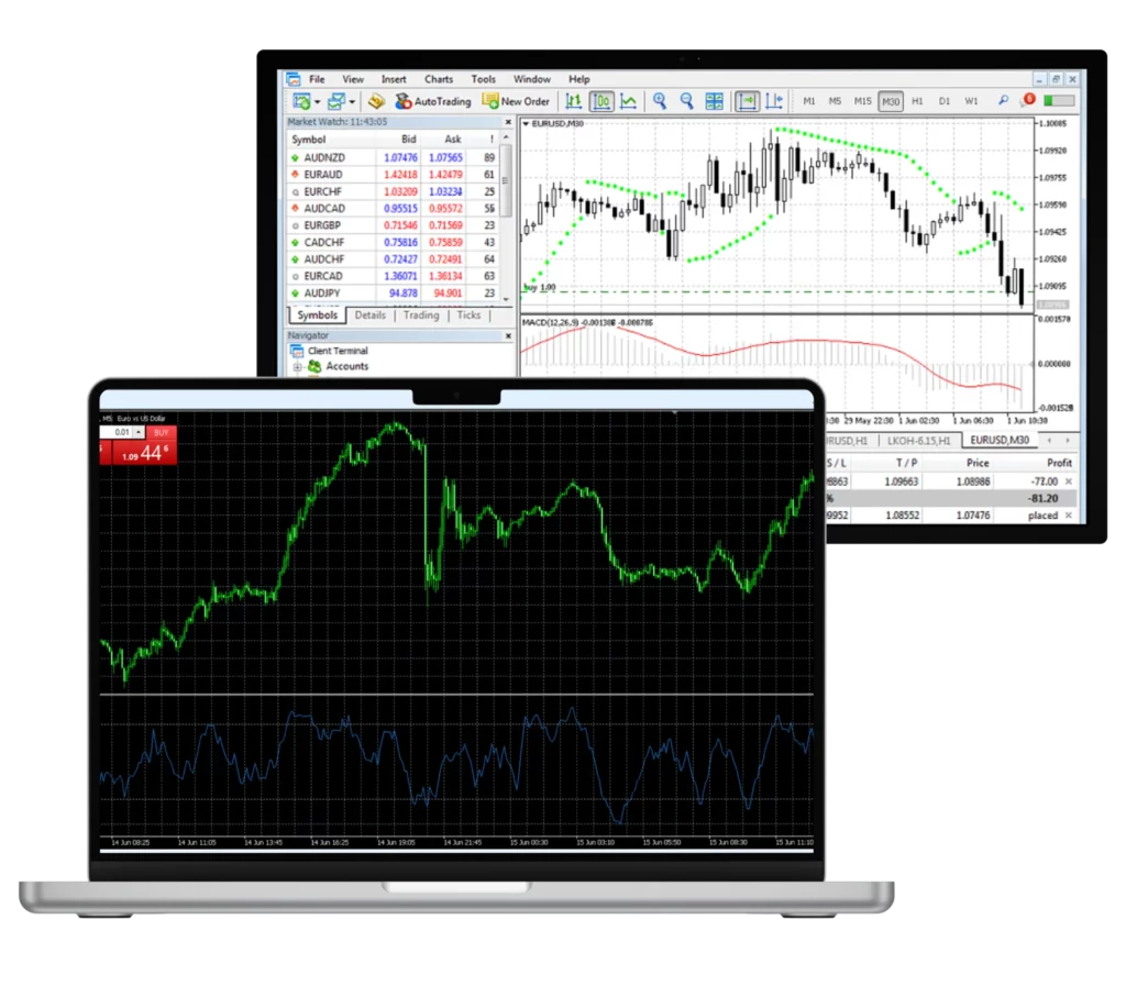 Exness Standard Accounts